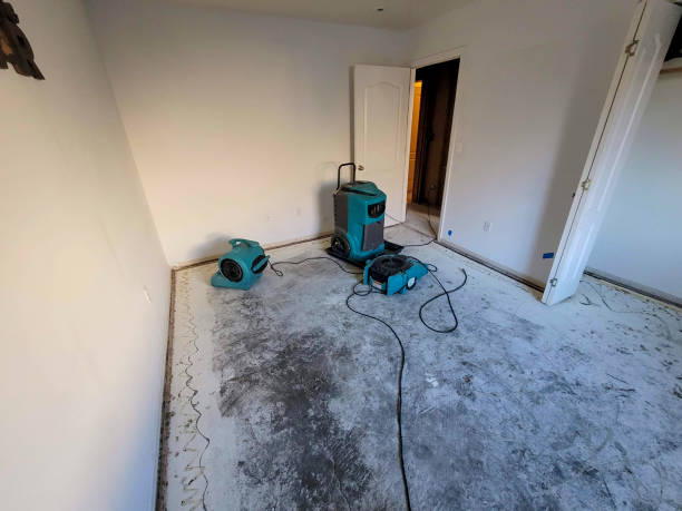 Best Flooded house restoration  in Mccook, NE