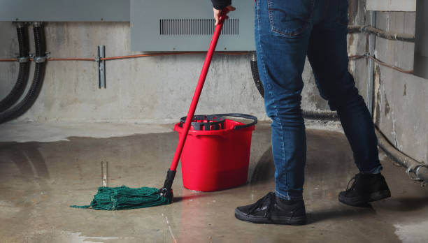 Best Carpet water damage restoration  in Mccook, NE