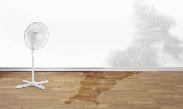 Best Residential water damage restoration  in Mccook, NE