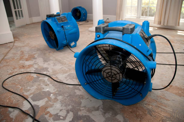 Best Water damage contractors near me  in Mccook, NE