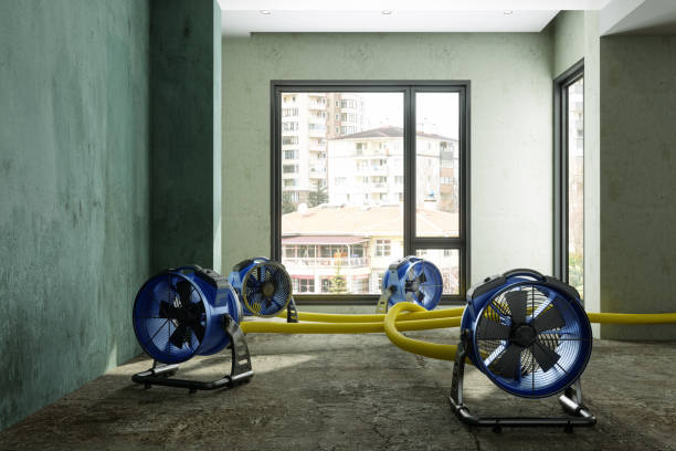 Best Water damage restoration near me  in Mccook, NE